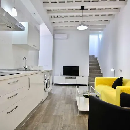 Duplex Terraza Del Falla Kadyks