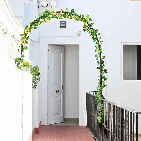 Duplex Terraza Del Falla * Cádiz
